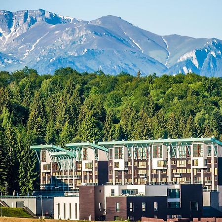 Ted Penthouse Silver Mountain Brassópojána Kültér fotó