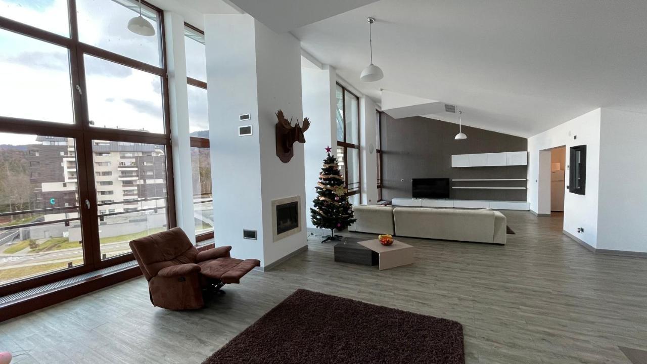 Ted Penthouse Silver Mountain Brassópojána Kültér fotó